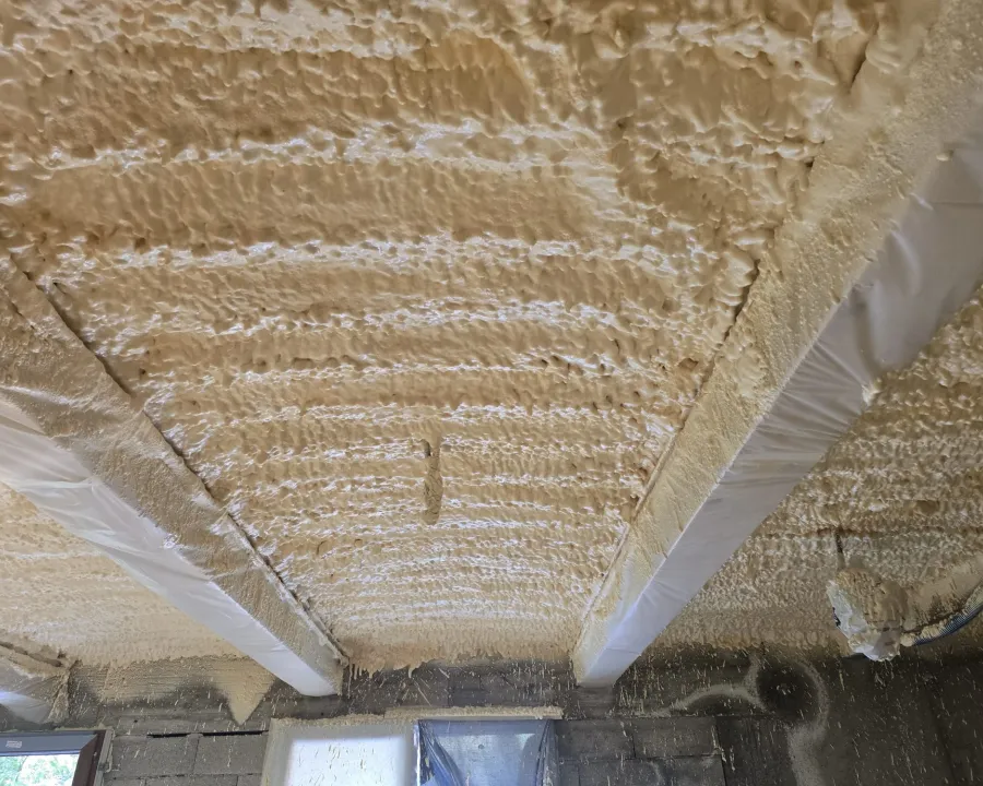 Plafond couvert de mousse entre des poutres protégées