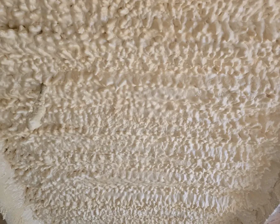 Vue rapprochée de la mousse au plafond