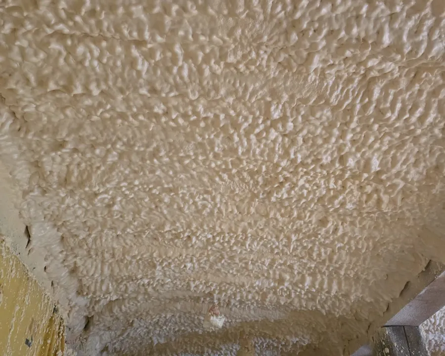 Autre détail de la mousse et des poutres